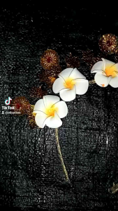 Mahkota Bando Bali Kamboja Anak & Dewasa