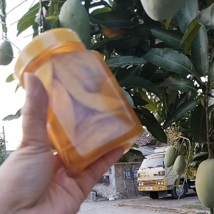 Manisan Mangga dari Mangga Asli Indramayu dari Nounna Saritie 350 Gram