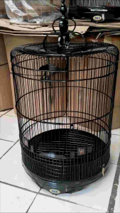 sangkar murai soloan no. 2 & 3 tebok bambu ceper