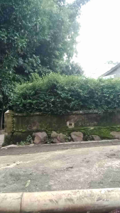 perlengkapan dapur alt pemotong bambu kayu dll