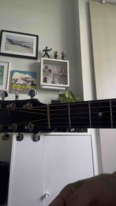 คาโป้ (Capo) Jim Dunlop รุ่นคลาสสิค Made in USA