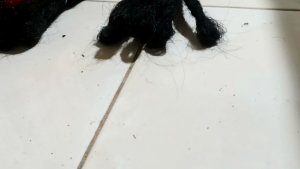 Rambut Gimbal: Desain Unik untuk Produk Fashion E-Commerce