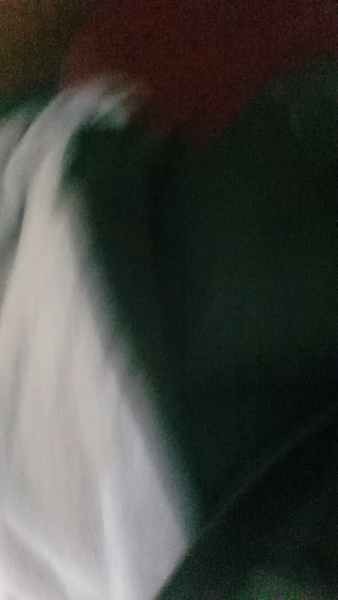 Buyer review video 2