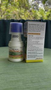 Thuốc trừ sâu Chlorferan 240sc ( chai 60ml ) chuyên trị sâu cuốn lá bọ trĩ  nhện gié rầy nâu  sâu đục bẹ  sâu năn..