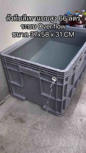 ลังพลาสติกแบบสูงทึบสีเทา ลังเปล่า ระบบover flow สำหรับเลี้ยงปลา อ่างเลี้ยงปลา กะบะเลี้ยงปลา อ่างปลาบอลลูน อ่างปลาเมกาดะ