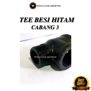 Te Way T Jet Pump Cabng 3 Besi
