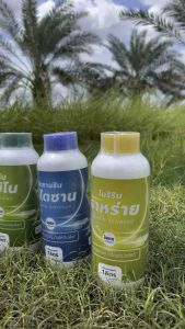 ผลิตภัณฑ์ชนิดน้ำ 4 สูตรร้าย คุณสมบัติของธรรมชาติ 100% สำหรับการดำเนินการอาหาร อมูลต่อเครื่องมืออาหาร ถูกรับจากสารสกัดจากธรรมชาติ