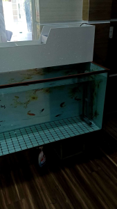 Lọc tràn trên giấu bơm Fomex 10ly - Khay tách phân đi kèm