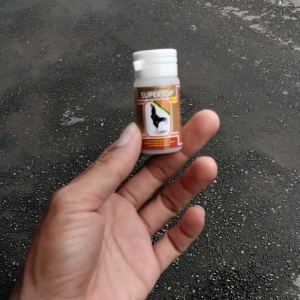 supertop ayam aduan memperpnjang nafas kuat agresif dan bertenaga extra