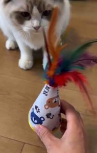 Interactive Cat Tumbler Toy Self-Rocking Feather Toy Bite Resistant Mainan Kucing 猫咪不倒翁玩具