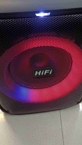 AMPAUDIO 8" HiFi Portable Speaker with Bass 2 wireless Microphone