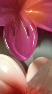 Bó hoa sứ kẹp tóc xinh yêu ạ