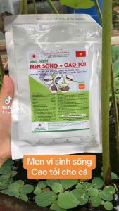 Men tiêu hoá sống cao tỏi cho cá lươn ốc ếch tôm. (Sumi 1 gói/100gram).