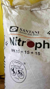 Pupuk NPK NITROPHOSKA 15+15+15 Kemasan 50KG