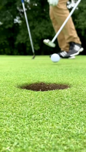Benih rumput golf Bermuda impor Scotts USA Bermuda Seed 100% benih murni & asli (REPACK 100% ORIGINAL)
