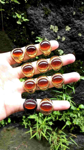 CINCIN TITANIUM GETAH KATILAYU MURAH