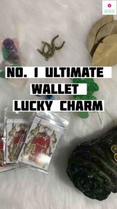 Four Leaf Clover | Dahon ng Laurel | Horse Shoe | chips stone | Evil Eye | 2025 Tai Sui Amulet No. 1 Ulitimate Wallet Lucky Charm Money Magnet Prosperity Success Business Family Love Life Career Lucky Charm Wallet Cleansed Ritualized