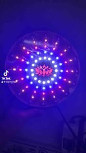 ĐÈN HÀO QUANG TOẢ 7 MÀU VÂN GỖ 12CM SIÊU MỎNG