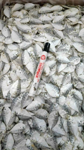 IKAN ASIN PIRIK KECIL ISI 1KG