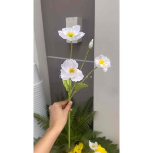 [น่ารักสุดๆ💕]  ดอกป๊อปปี้ มีหลากสี มาใหม่  สีสวยมาก ดอกป๊อปปี้สีพาสเทล