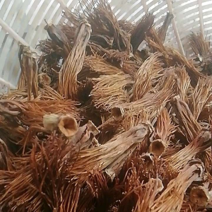 ดอกงิ้วตากแห้ง500g