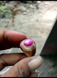 Cincin Ring tanduk kerbau bule Batu Ruby star original