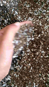 ดินผสมแบบโปร่งสำหรับปลูกแคตตัส