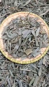 Gói 100gr Lá Tre Gai Sấy Khô Hương Thơm Thanh Mát Tự Nhiên.