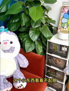 OHHDEER S Shape Hook Hanger Wardrobe Clothes Hanger Closet Organizer Hanger For Shoe Bag Hanger