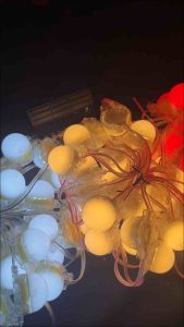 Ledปิงปอง ครึ่งใบ 24v 1.2w กันน้ำ พวงละ 30ดวง สินค้าส่งตรงจากประเทศไทย 🇹🇭