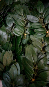 1 Bó Lá Lợp Lồng Chim Mẫu Siêu Bền / Không Bong Keo