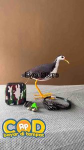 Jerat Racik Jebakan Ruak Ruak & Kareo Sawah Plus Box Mp3