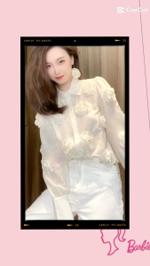 TM 2900 Kemeja Pazienza 3D rose applique import