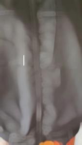 JAKET BOMBER JAKET KASTEM GAMBAR BEBAS JAKET PRIA DAN WANITA GAMBAR TEAM ANTI BANDIT BARESKRIM CRIME HUNTER