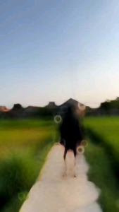 Jaket Hitam GORPCORE: Jaket Parasut Anti Air & Pilihan Terbaik Untuk Aktivitas Outdoor