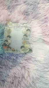 Seventeen cute cartoon DIY standee