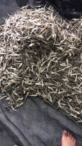 80 con Hải Yến to đẹp