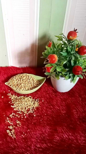 COD ketumbar 250 gr / bumbu dapur / promo ketumbar