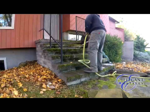 [ Loại Tốt ] 3kg Bột Tẩy Rong Rêu Sân Xi Măng Sàn Nhà - Sạch Nhanh Dễ Sử Dụng