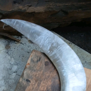 NURIDENG KHAS JATIM/KEPALA BURUNG