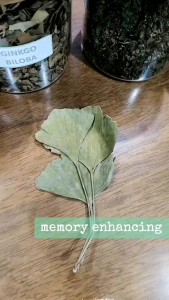 Brainy & Savvy: A Memory Tea for Focus