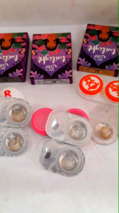 Softlens Twilight Diameter 14.2 Standart: Panduan Lengkap