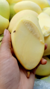 Combo 5kí Xoài Keo Sống Da Vàng Giòn Giòn Ngọt Ngọt Chua Chua