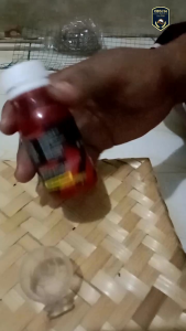 nectar bore up nectar burung mendongkrak enargi secara instan