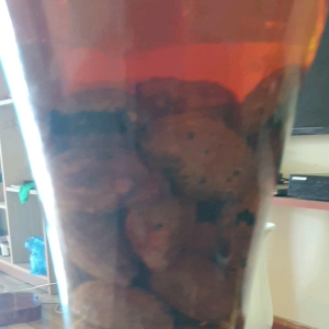 1kg chuối mật lai châu