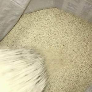 White Glutinous Rice 1kg Bag - Food Staple - Cooking Essential