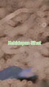 Eco Farm Soya Bean Powder Vacuum Pack Free Gifts Halal & No Sugar 有机黄大豆 真空包装 (400 gram)