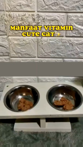 Vitamin Penggemuk dan Pelebat Bulu Kucing Obat Penumbuh Bulu vitamin kucing berkualitas