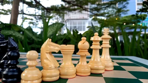 Buah Catur Kayu Mentaos Model Kuda Truno Standar Turnamen Nasional