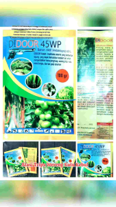 DI DOOR 45 WP IMIDAKLOPRIT 100 gram Ahlinya Basmi hama jenis penghisap wereng trips kutu kebul tungau yg ganggu tanaman